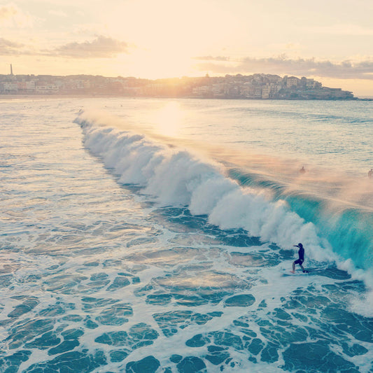 Bondi Beach